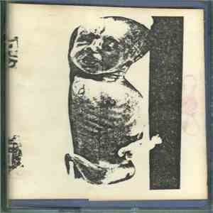 胎児 - 胎児 flac download
