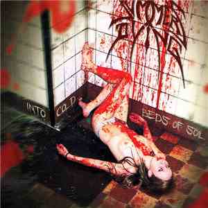 Summer's Dying - Into Cold Beds Of Soil flac download