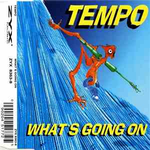 Tempo  - What's Going On flac download