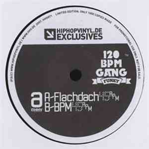 120 BPM Gang - Flachdach flac download