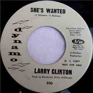 Larry Clinton  - She's Wanted flac download