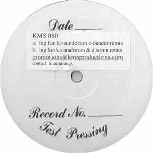 Inner City - Big Fun (Remixes) flac download