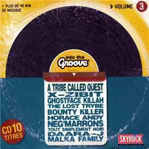 Various - Into The Groove Volume 3 flac download