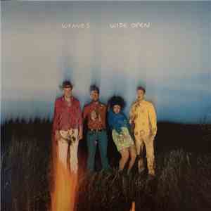 Weaves - Wide Open flac download