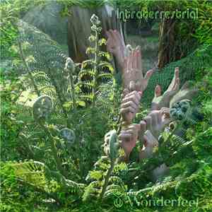 Wonderfeel - Intraterrestrial flac download