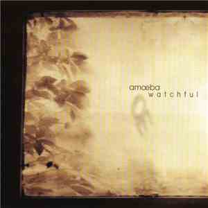 Amoeba - Watchful flac download