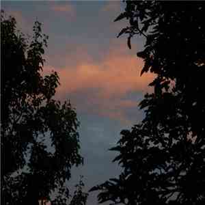 James Shearman  - Cavernous Respite flac download