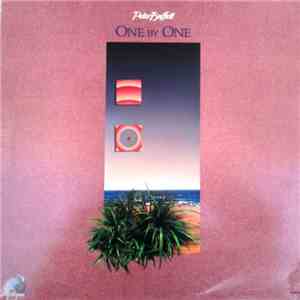 Peter Buffett - One By One flac download
