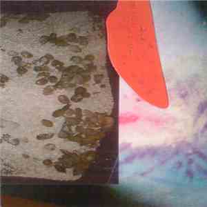 Sick Llama - Earth Chaos flac download