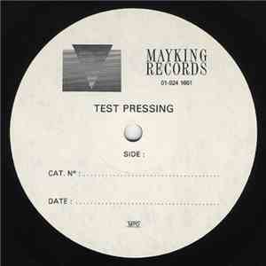 The Field Mice - Skywriting flac download