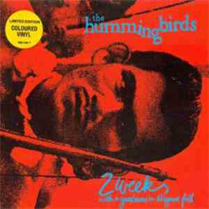 The Hummingbirds - 2 Weeks With A Good Man In Niagara Falls flac download
