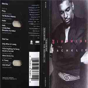 Ginuwine - Ginuwine...The Bachelor flac download