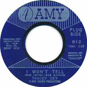 Tracey Dey - I Won't Tell flac download