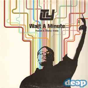Ty - Wait A Minute (Fusion & Sticky Remix) flac download