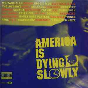Various - America Is Dying Slowly flac download