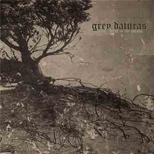 Grey Daturas - Dead In The Woods flac download