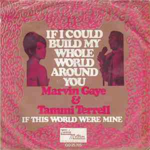 Marvin Gaye & Tammi Terrell - If I Could Build My Whole World Around You flac download