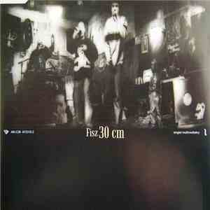 Fisz - 30 Cm flac download