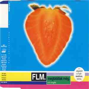 FLM - Megtalállak Még flac download