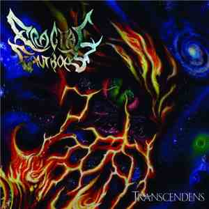 Fractal Entropy - Transcendens flac download
