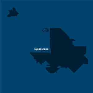 Synapscape - Positive Pop flac download
