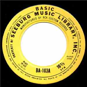 Unknown Artist - Basic Music Library flac download