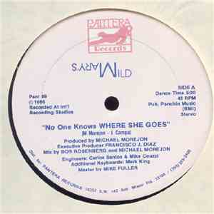 Mary's Wild - No One Knows Where She Goes flac download