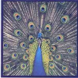 The Bluetones - Expecting To Fly flac download