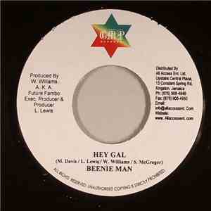 Beenie Man - Hey Gal flac download