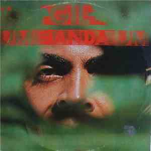 Gilberto Gil - Um Banda Um flac download