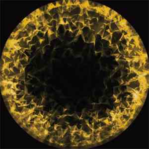 Michaelangelo / Coefficient - Metamorphosis EP flac download