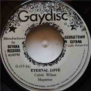 The Magnetos - Eternal Love flac download