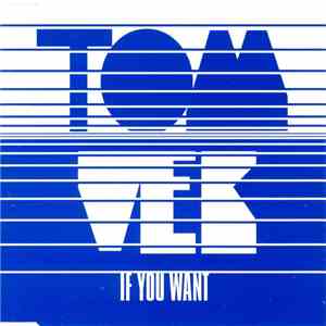 Tom Vek - If You Want flac download