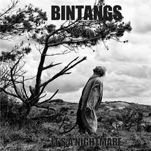 Bintangs - It's A Nightmare flac download