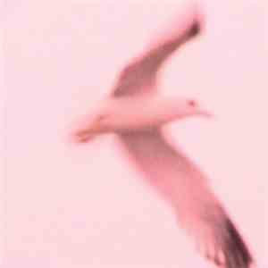 Julia Holter - Maria flac download