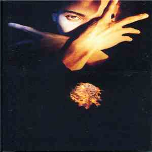 Terence Trent D'Arby - Terence Trent D'Arby's Neither Fish Nor Flesh: A Soundtrack Of Love, Faith, Hope, And Destruction flac download