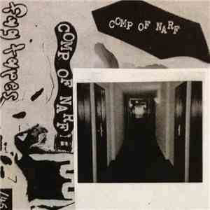 Various - Comp Of Narf II flac download