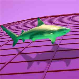 GAMESHARK™ - Shark フローティン グふわっと flac download