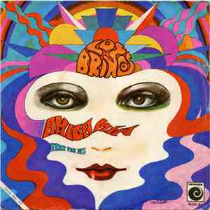 Los Brincos - Amiga Mía flac download