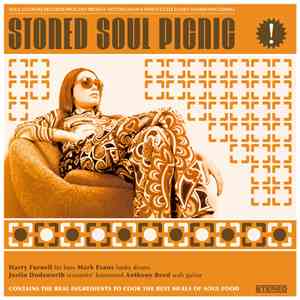 Stoned Soul Picnic - The Erotic Cakes Of Stoned Soul Picnic flac download