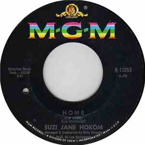 Suzi Jane Hokom - Need All The Help I Can Get flac download