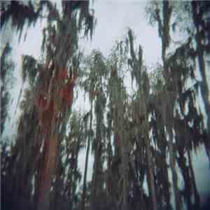 The Lulls in Traffic - Rabbit in the Snare flac download