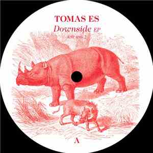 Tomas Es - Downside EP flac download