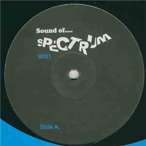 Sound Alliance - All Our Life / The Hit (Hexadecimal Mix) flac download