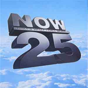 Various - Now That's What I Call Music! 25 flac download