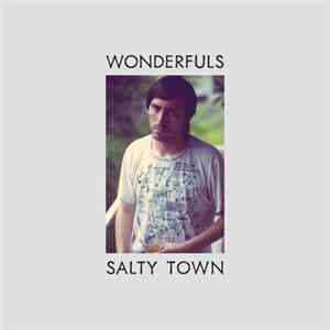 Wonderfuls - Salty Town flac download