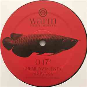 Gremlinz & Jesta  - Arowana / BSM flac download
