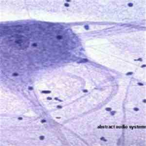 Abstract Audio Systems - Subdural EP flac download