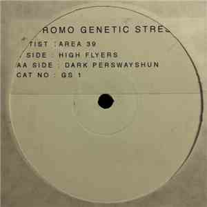 Area 39 - High Flyers / Dark Perswayshun flac download