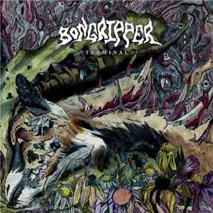 Bongripper - Terminal flac download